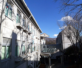 学校